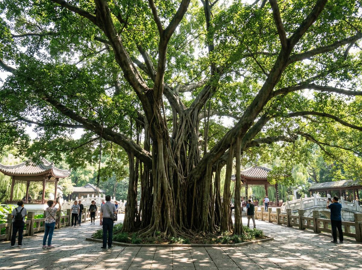蜜桃传媒社区顾问王雅琴